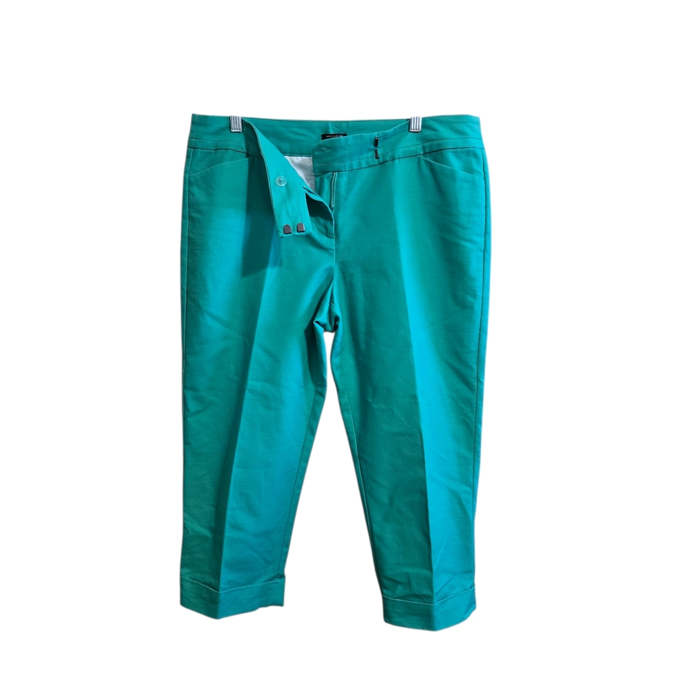 Ann Taylor Green  Chinos Capri‎ Pants Size 10P